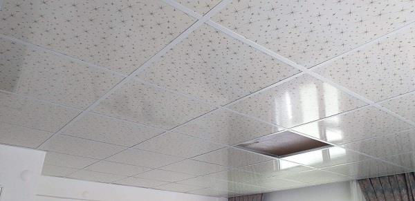 PLASTİK PVC ASMA TAVAN SİSTEMLERİ